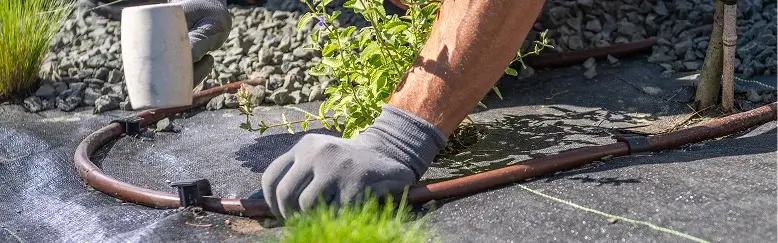 Gloved hands adjusting drip irrigation tubing near young plants on a landscaped garden bed with a weed barrier.